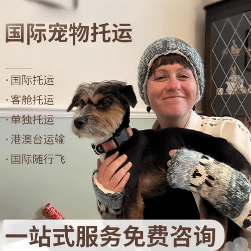 长春市国际宠物托运到阿根廷宠物入境规定和要