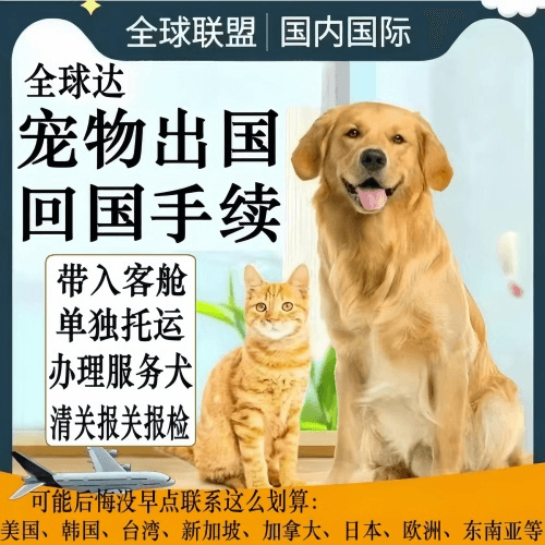 长春市宠物托运到柬埔寨宠物入境规定和要求