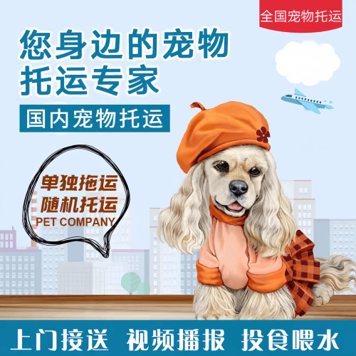 满财长春市宠物全球达宠物托运作为专业的宠物运输代理机构